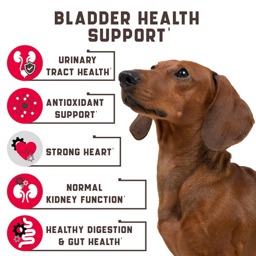 Cranberry Dog Health Booster