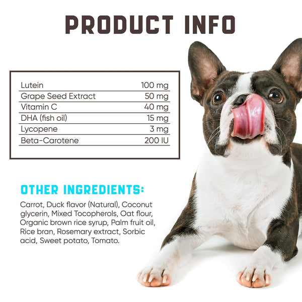 Dog Vision Care Supplements